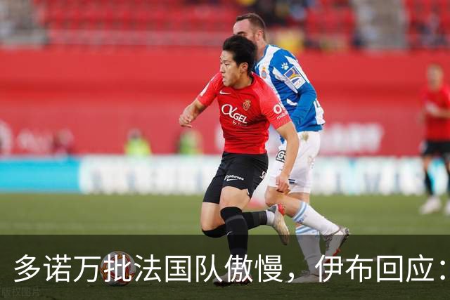 多诺万批法国队傲慢，伊布回应：无知者说傲慢，聪明人会说是自信