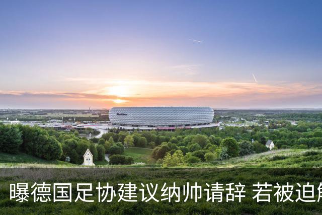 曝德国足协建议纳帅请辞 若被迫解雇将付七位数遣散费