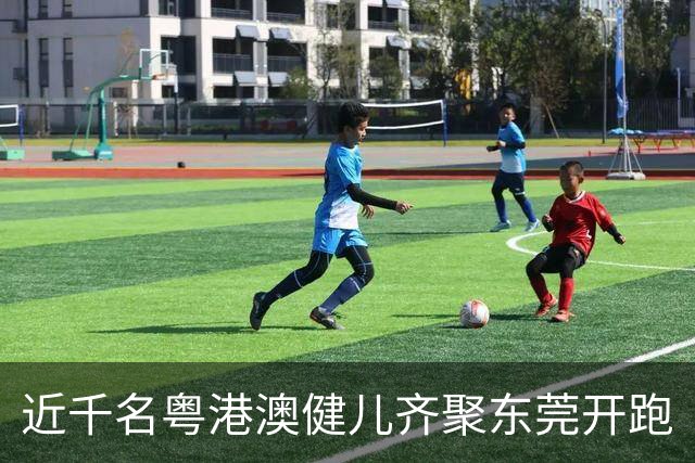 近千名粤港澳健儿齐聚东莞开跑